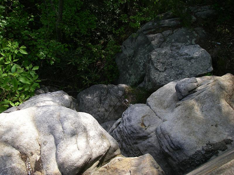 Original image