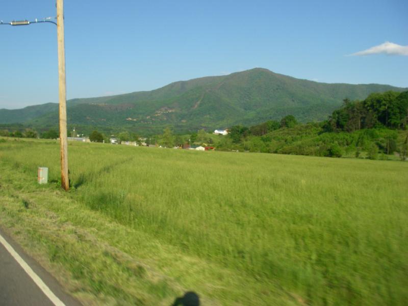 Original image