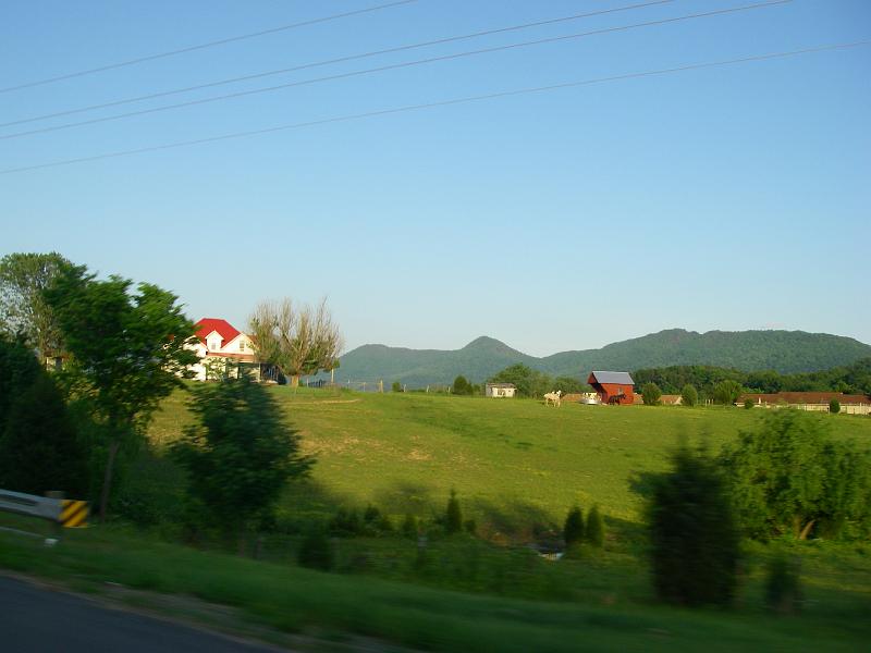 Original image