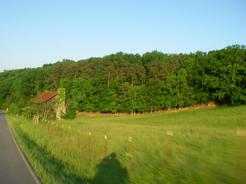 Original image