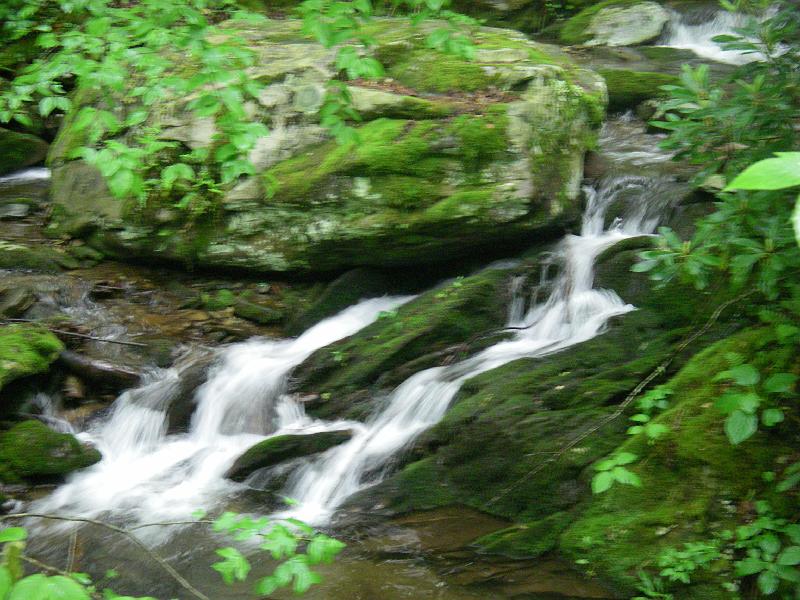Original image