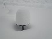 Snow Feb. 6 2010