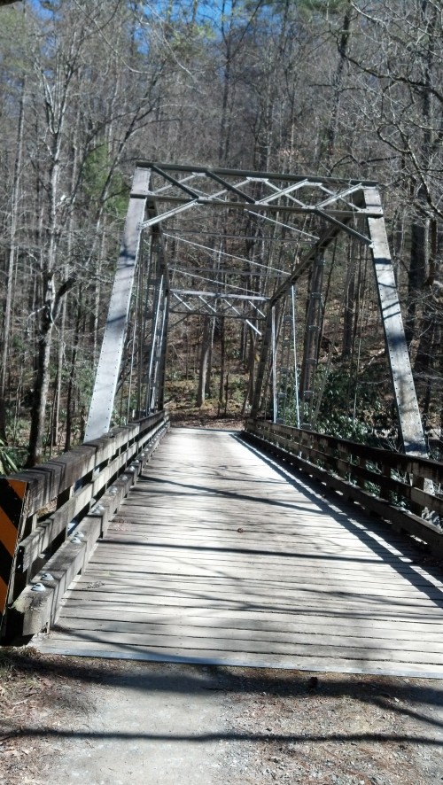 The bridge is straight, my camera is not.