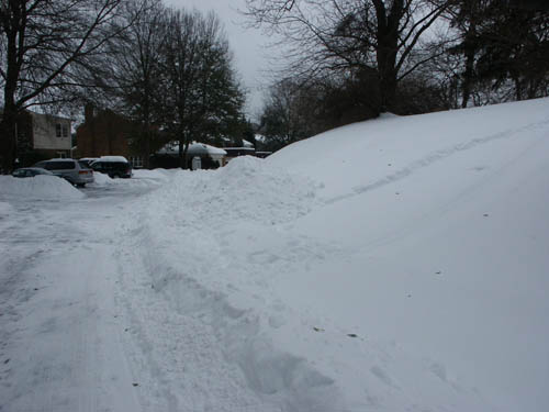 PICT0004