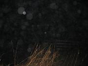 IMG_0219
