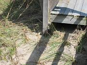 IMG_0229