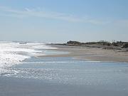IMG_0248