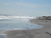 IMG_0252