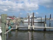 IMG_0261