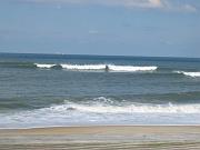 IMG_0269
