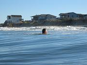 IMG_0359