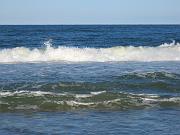 IMG_0361