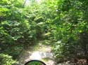 IMG_2950