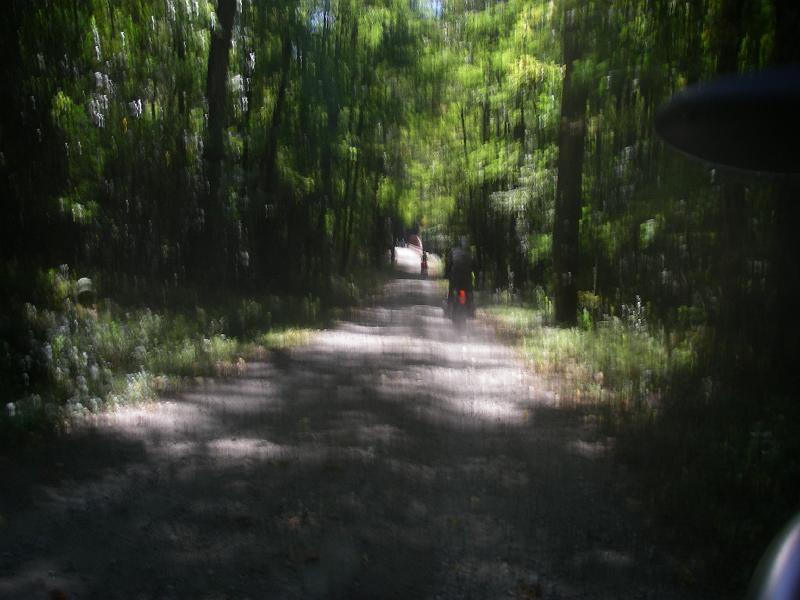 Original image