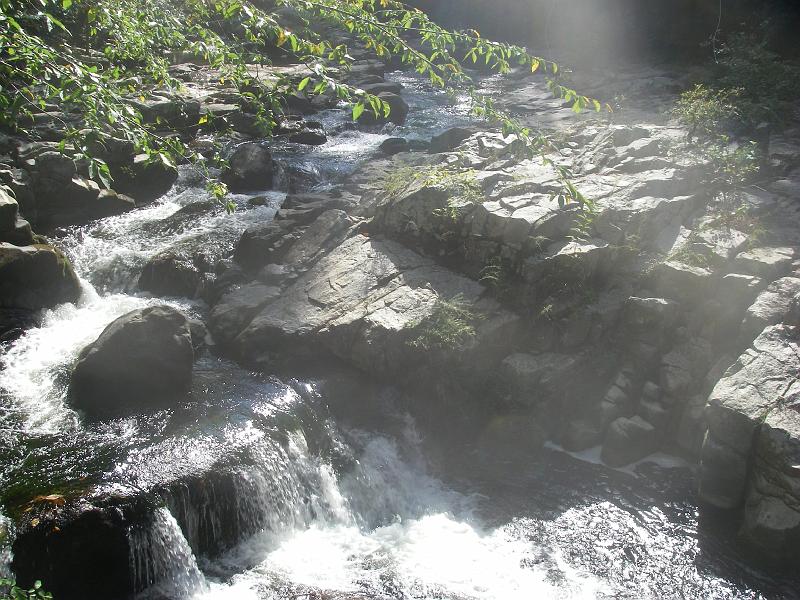 Original image