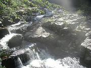 IMGP0550