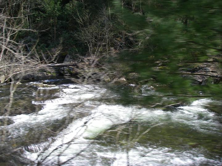 Original image