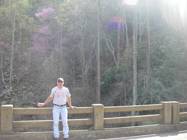 Original image