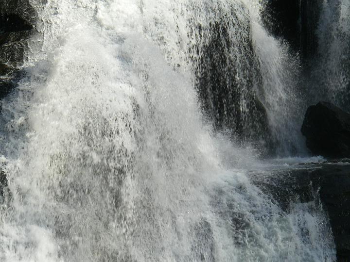 Original image