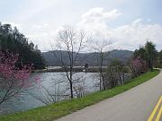 IMGP1129