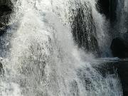 IMGP1186