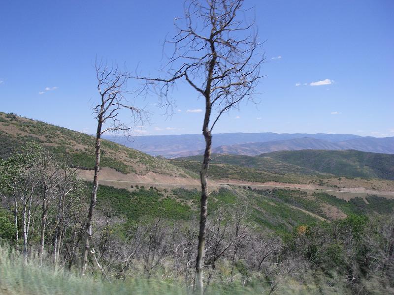 Original image
