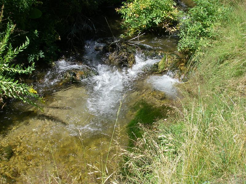 Original image