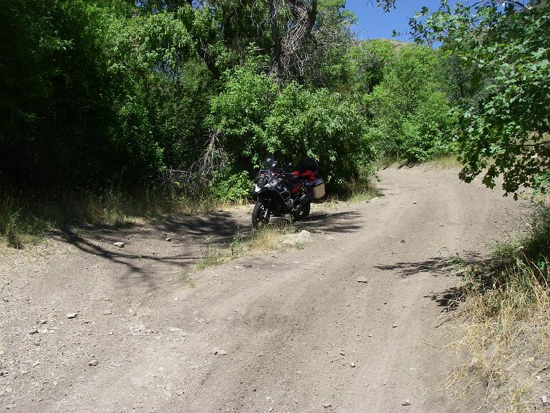 Original image