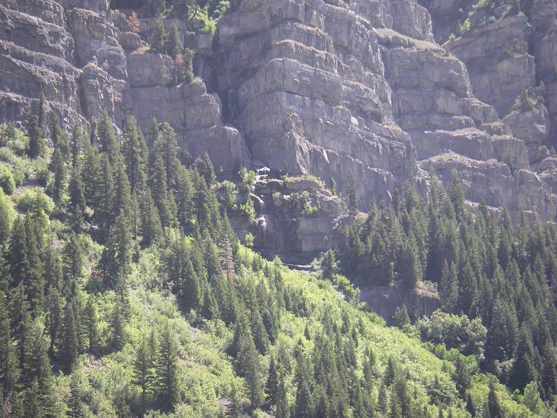 Original image