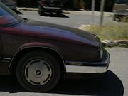 IMGP1586