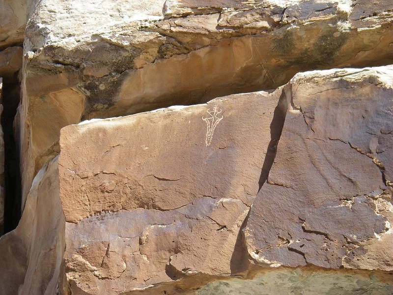 Original image