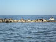 DSCN0780
