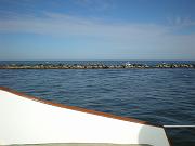 DSCN0781