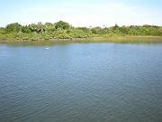 DSCN0786