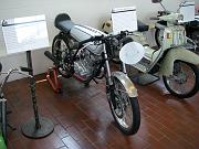 IMGP2874