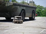 IMGP2890