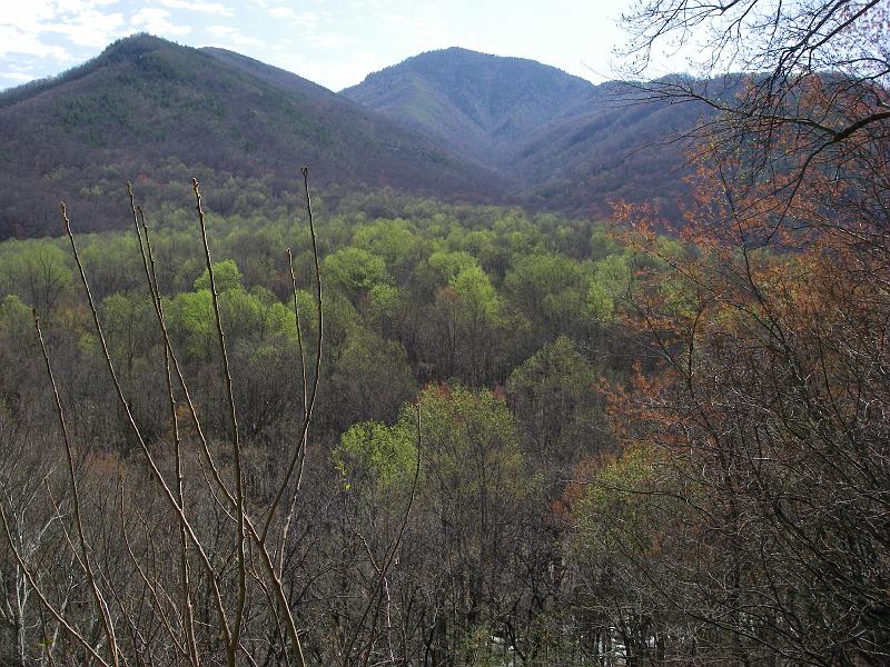 Original image