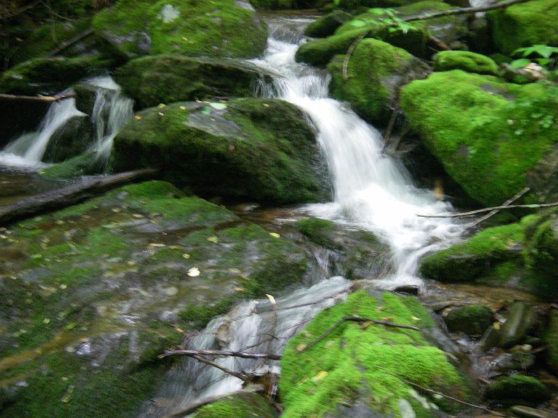 Original image