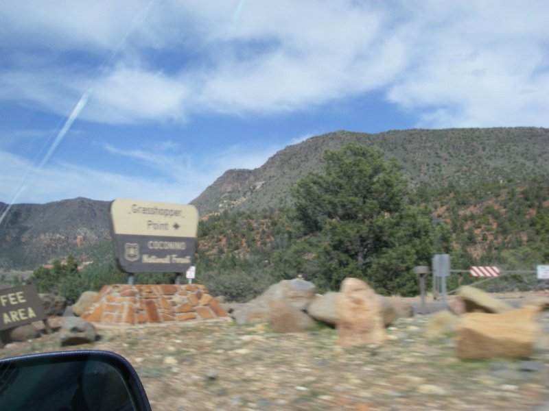 Original image