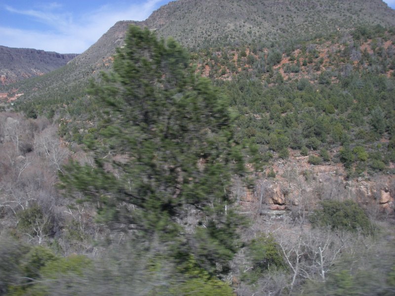 Original image
