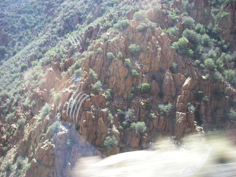 Original image