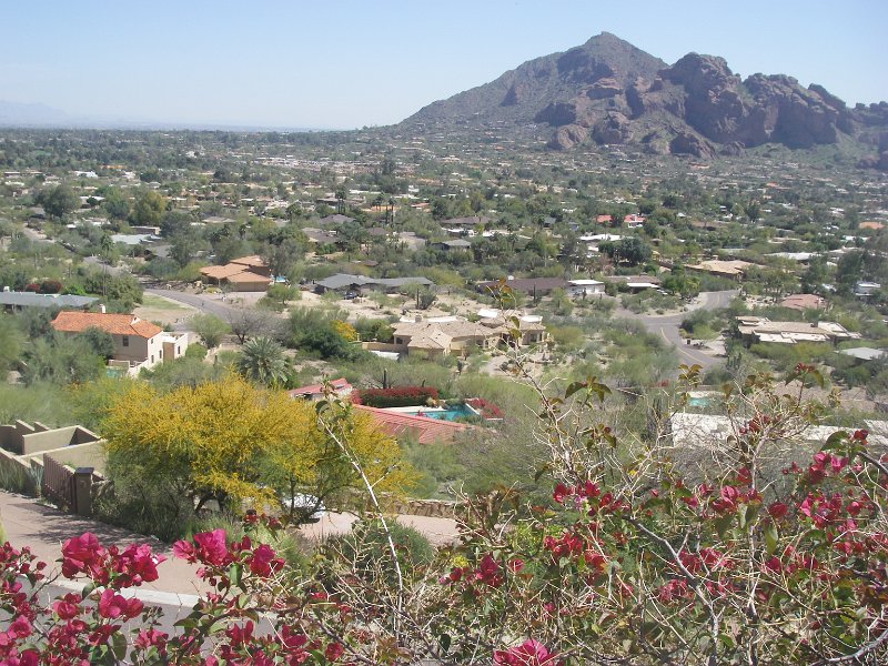Original image