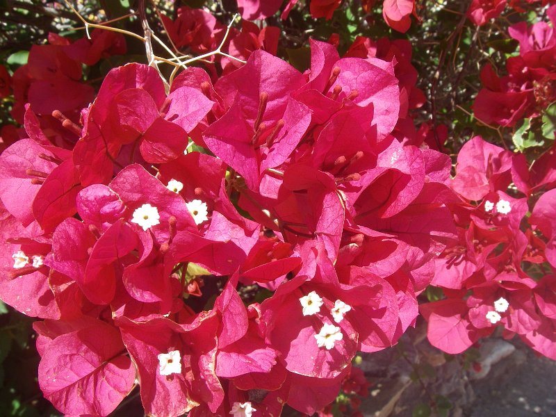 Original image