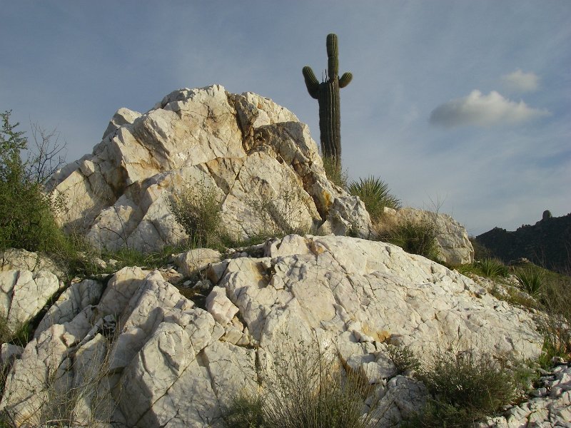 Original image