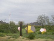 IMGP3927