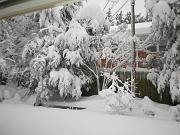 DSCN1085