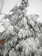 DSCN1088