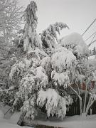 DSCN1089
