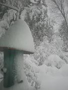 DSCN1094