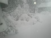 DSCN1096